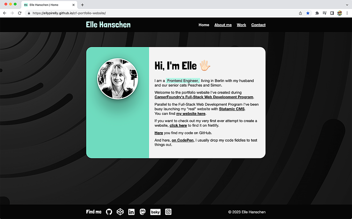 browser window screenshot of the demo portfolio website